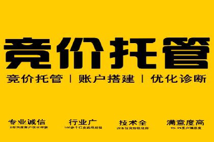 竞价排名案例：跨平台推广效果分析